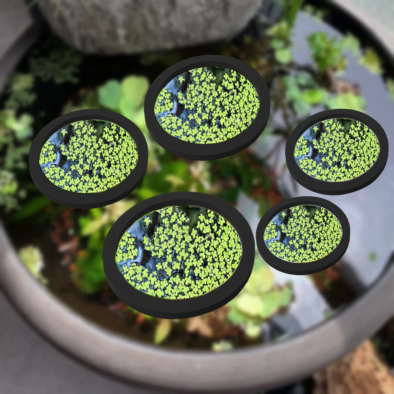 Aquarium Plants - 5 шт., кольцо для кормления рыб