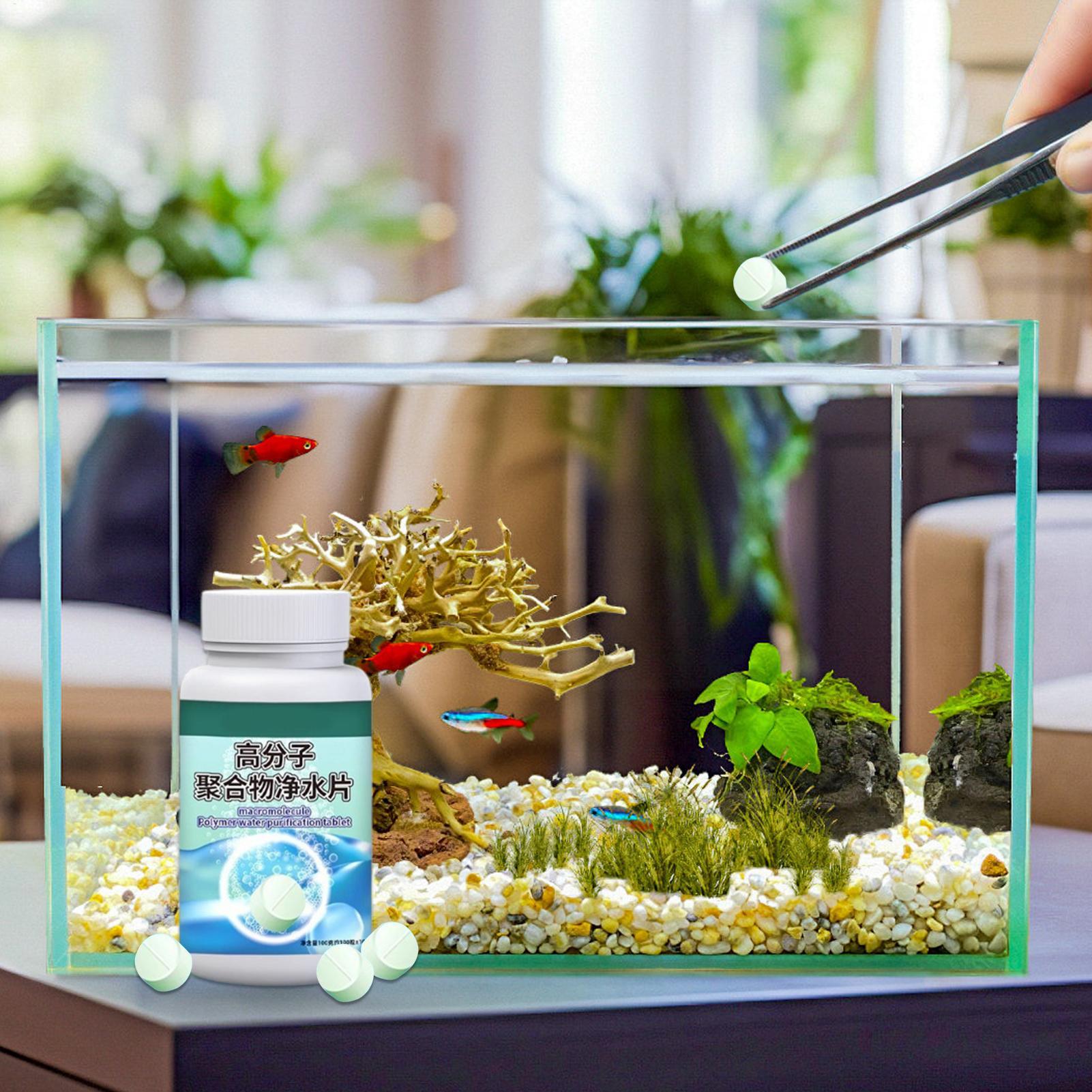 Таблетки для удаления водоросл – обзор и цена Aquarium Fish Betta