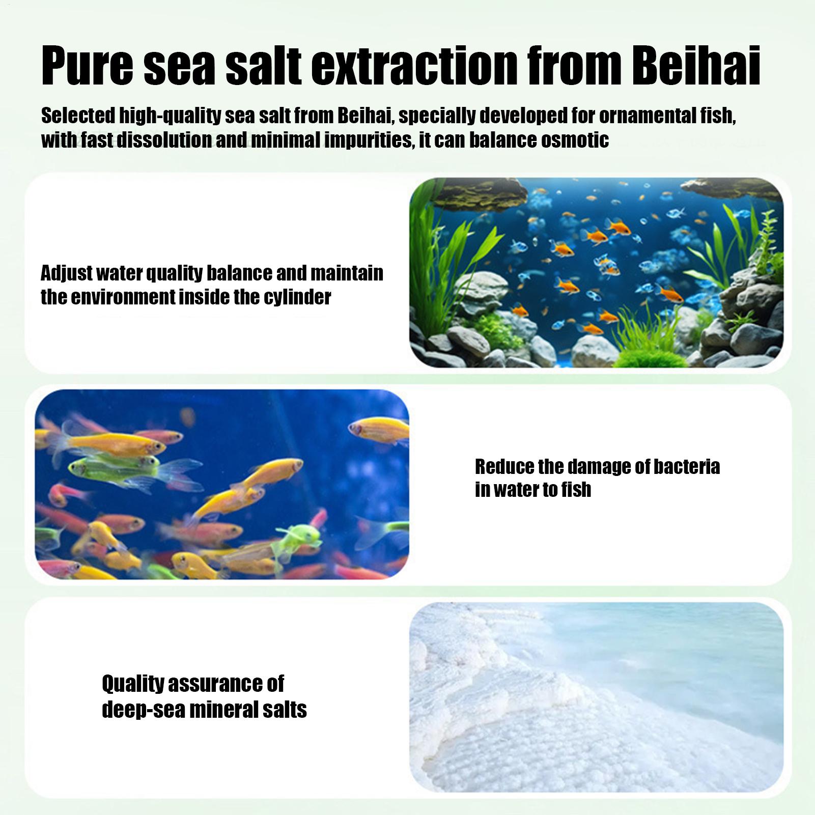 Таблетки для удаления водоросл – обзор и цена Aquarium Fish Betta