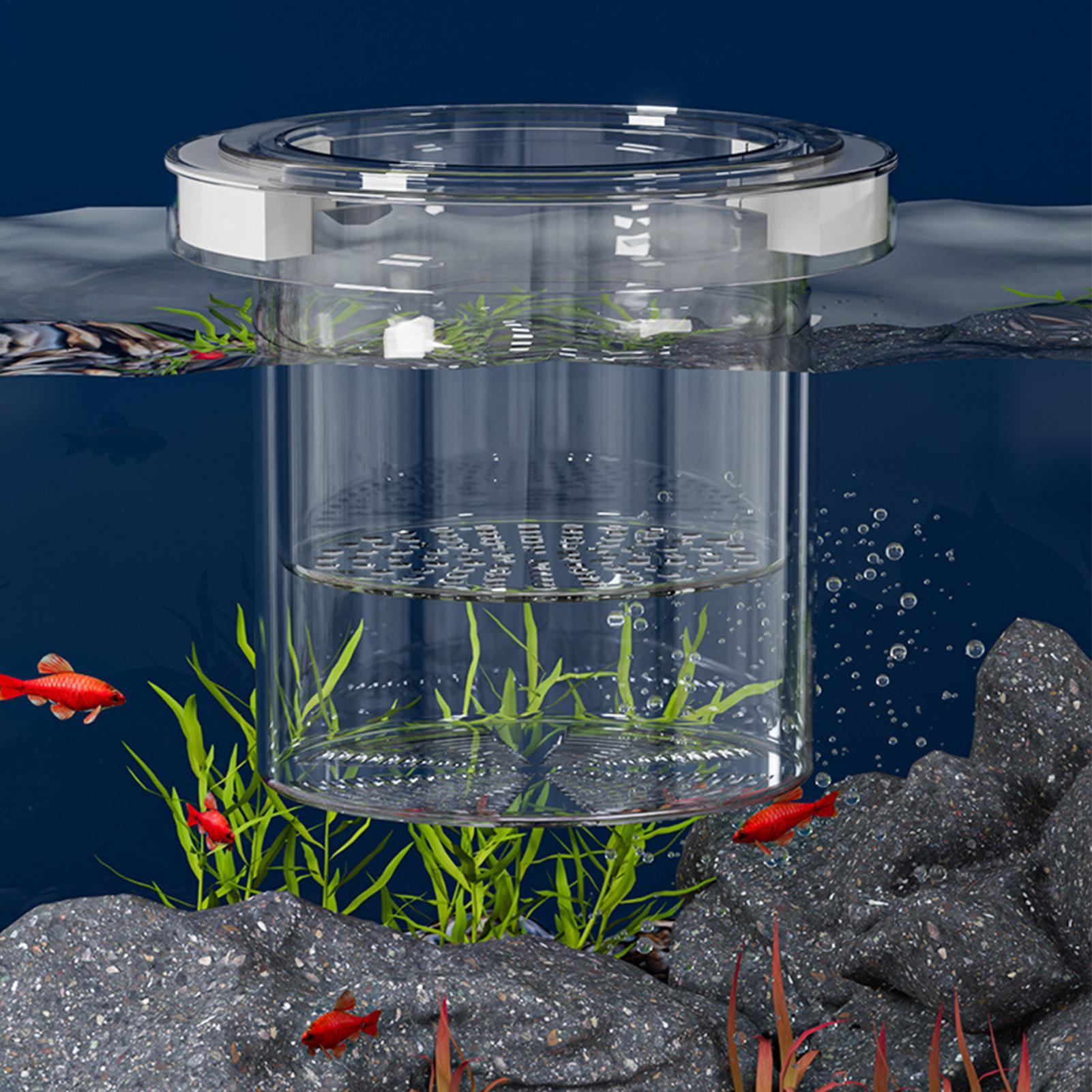 Плавающий изоляционный бокс дл – обзор и цена Aquarium Fish Betta
