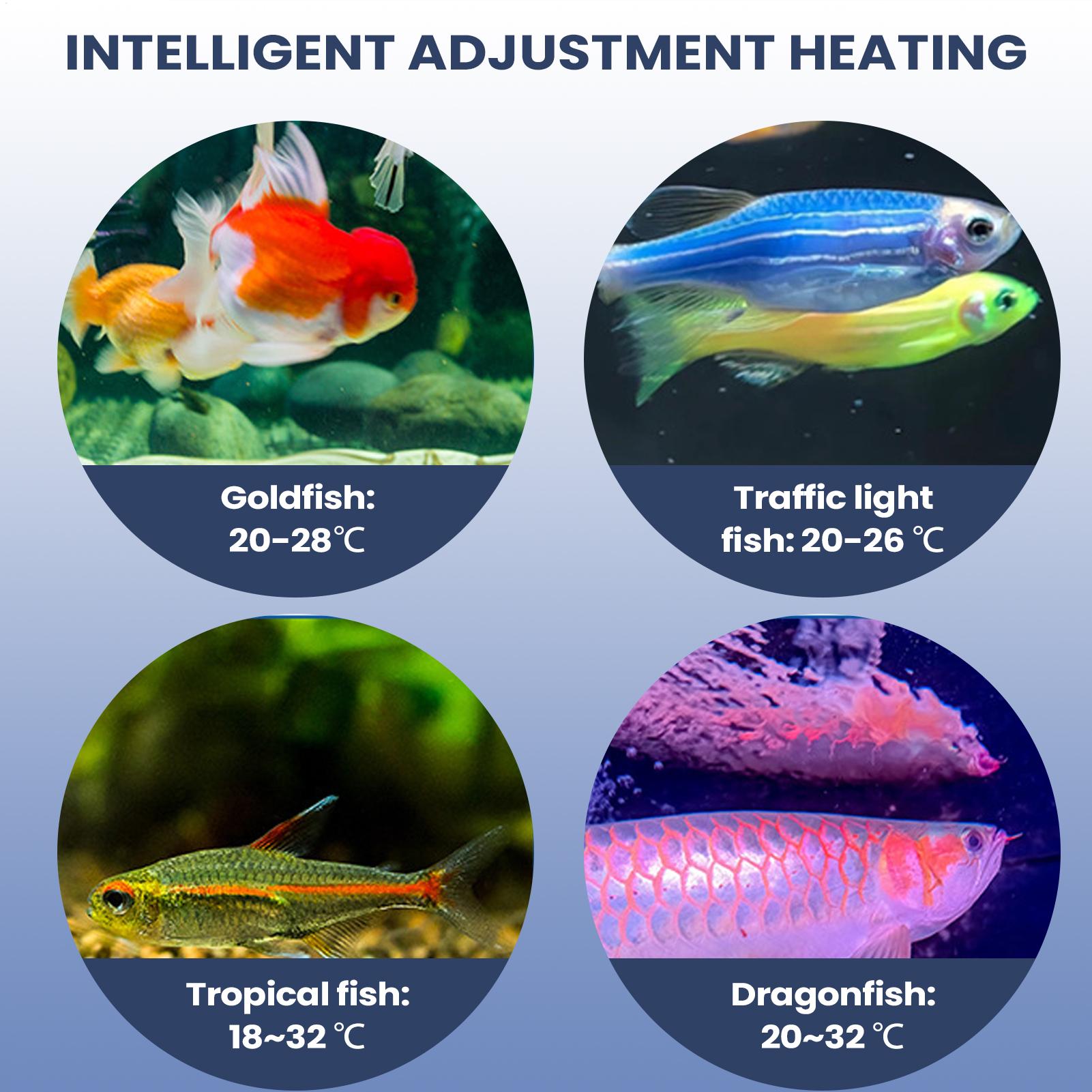 Аквариумный воздушный насос, п – обзор и цена Aquarium Pump