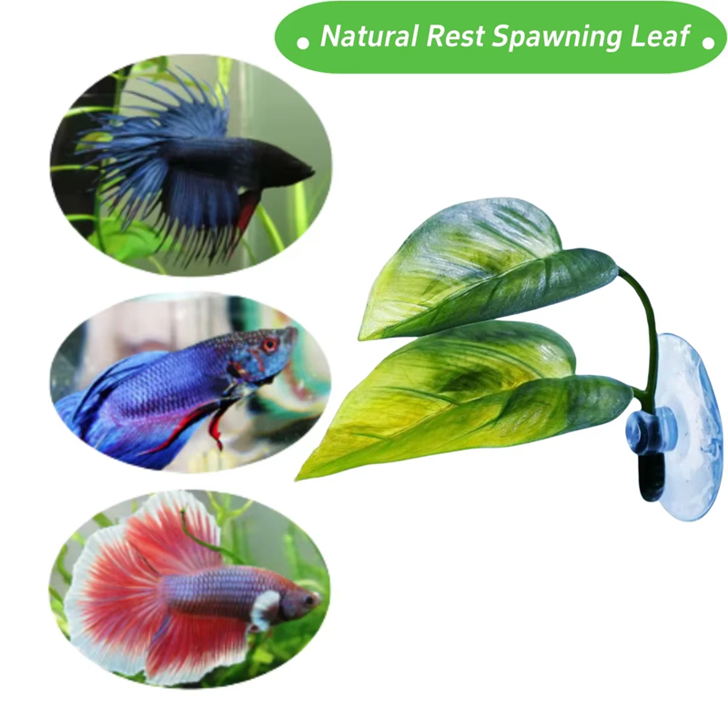 Аксессуары для аквариумов: иск – обзор и цена Aquarium Fish Betta
