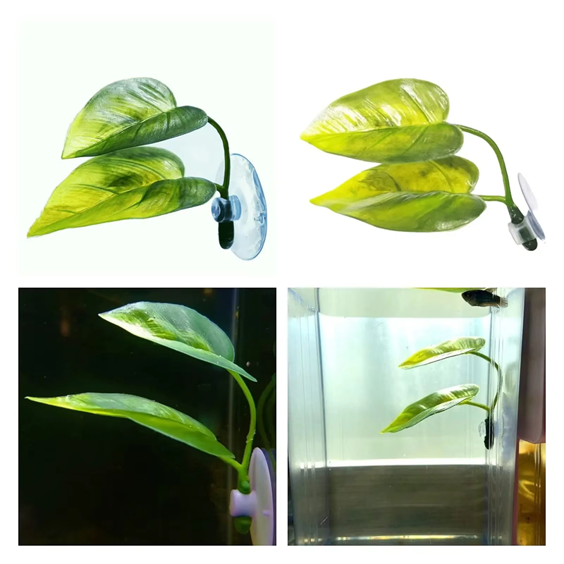 Аксессуары для аквариумов: иск – обзор и цена Aquarium Fish Betta