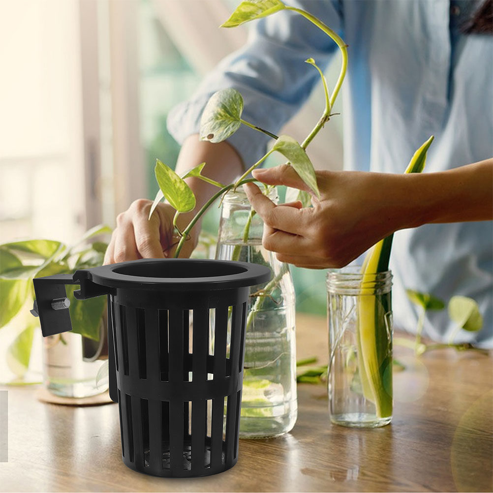 6 шт. настенных держателей для – обзор и цена Aquarium Plants