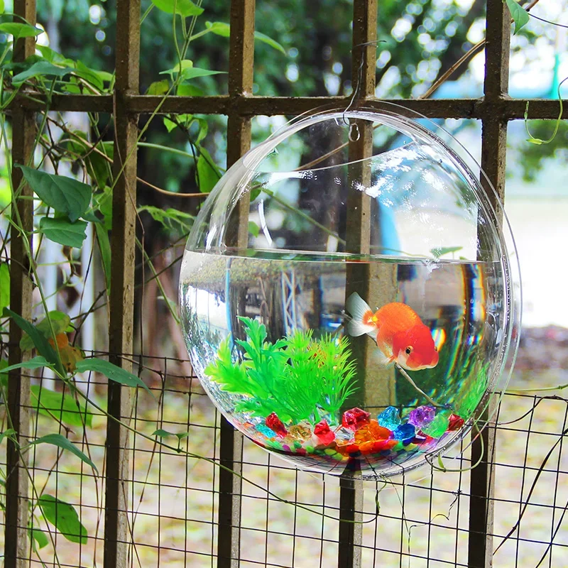 Акриловая миска для рыбы, наст – обзор и цена Betta Fish Tank