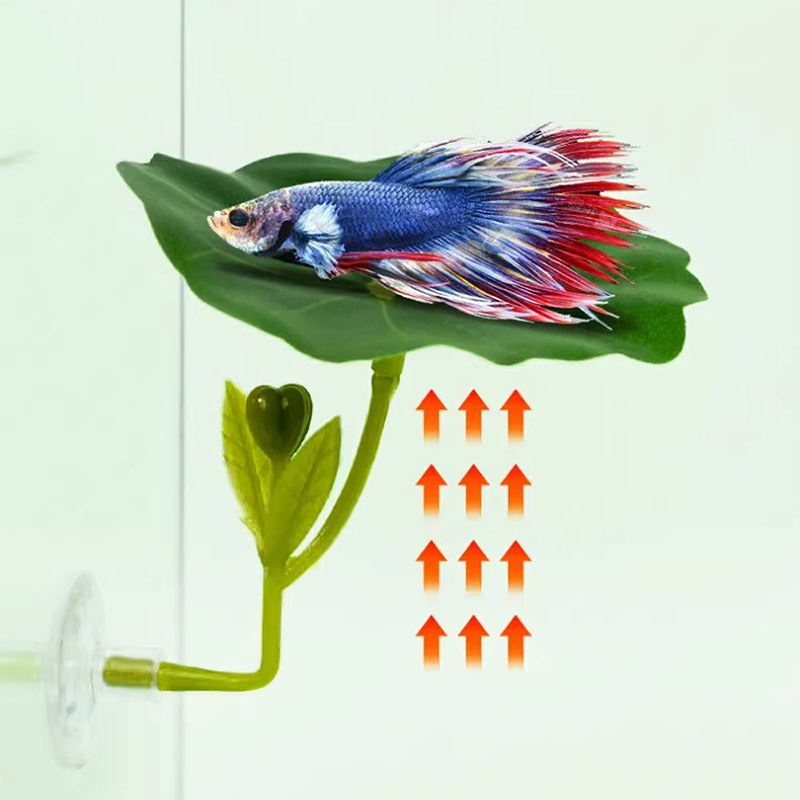 (Ce14)1/5PC Зеленая гирлянда и – обзор и цена Aquarium Fish Betta