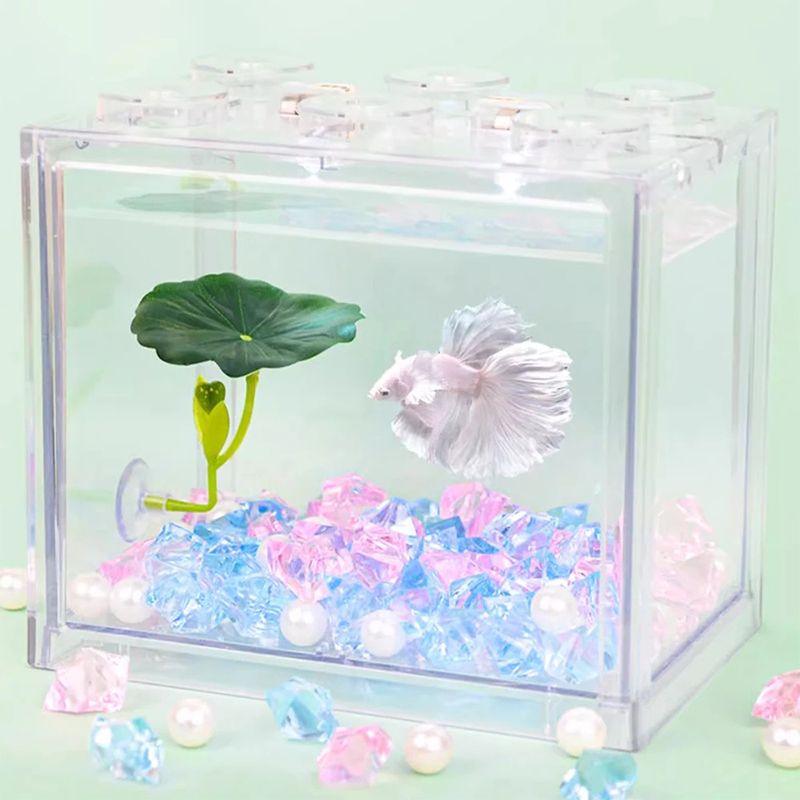 (Ce14)1/5PC Зеленая гирлянда и – обзор и цена Aquarium Fish Betta