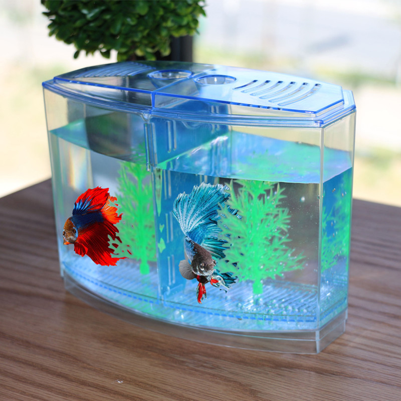 Новая и забавная игрушка, креа – обзор и цена Aquarium Fish Keeping