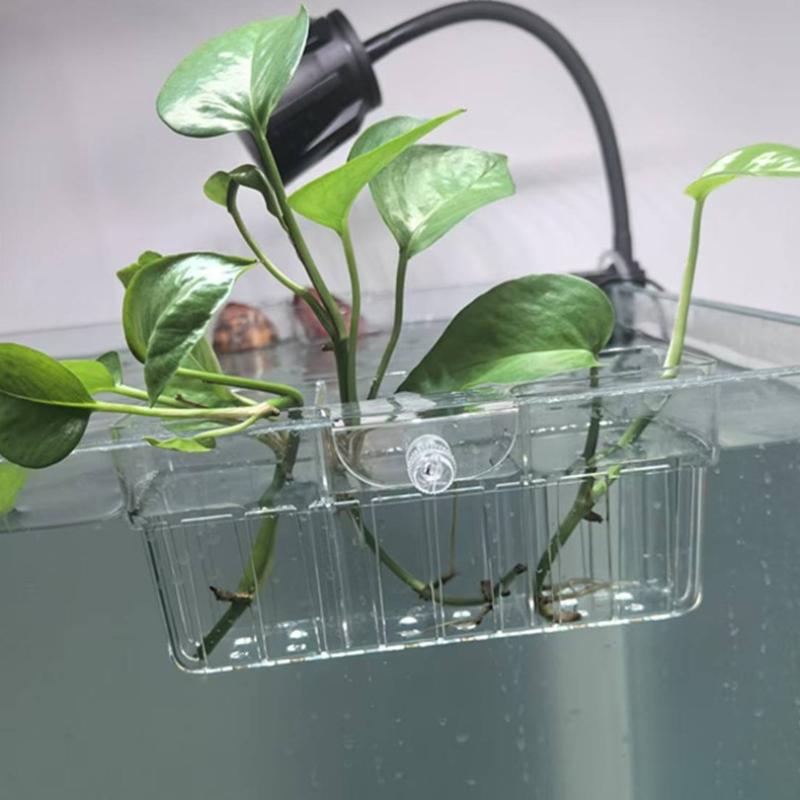 Корзина для гидропонных растен – обзор и цена Aquarium Plants