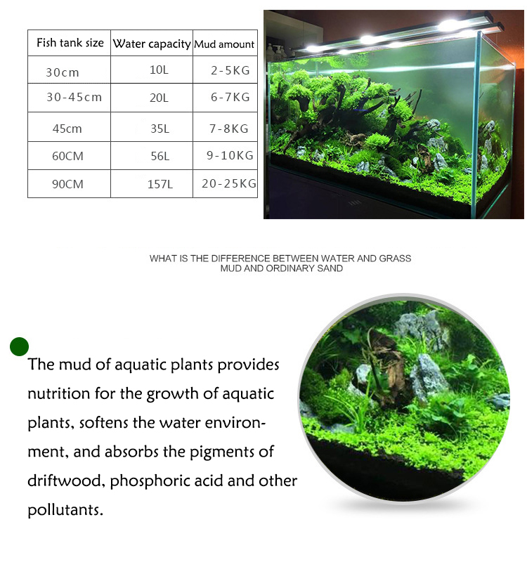 Семена аквариумных растений, п – обзор и цена Fish Tank Gravel