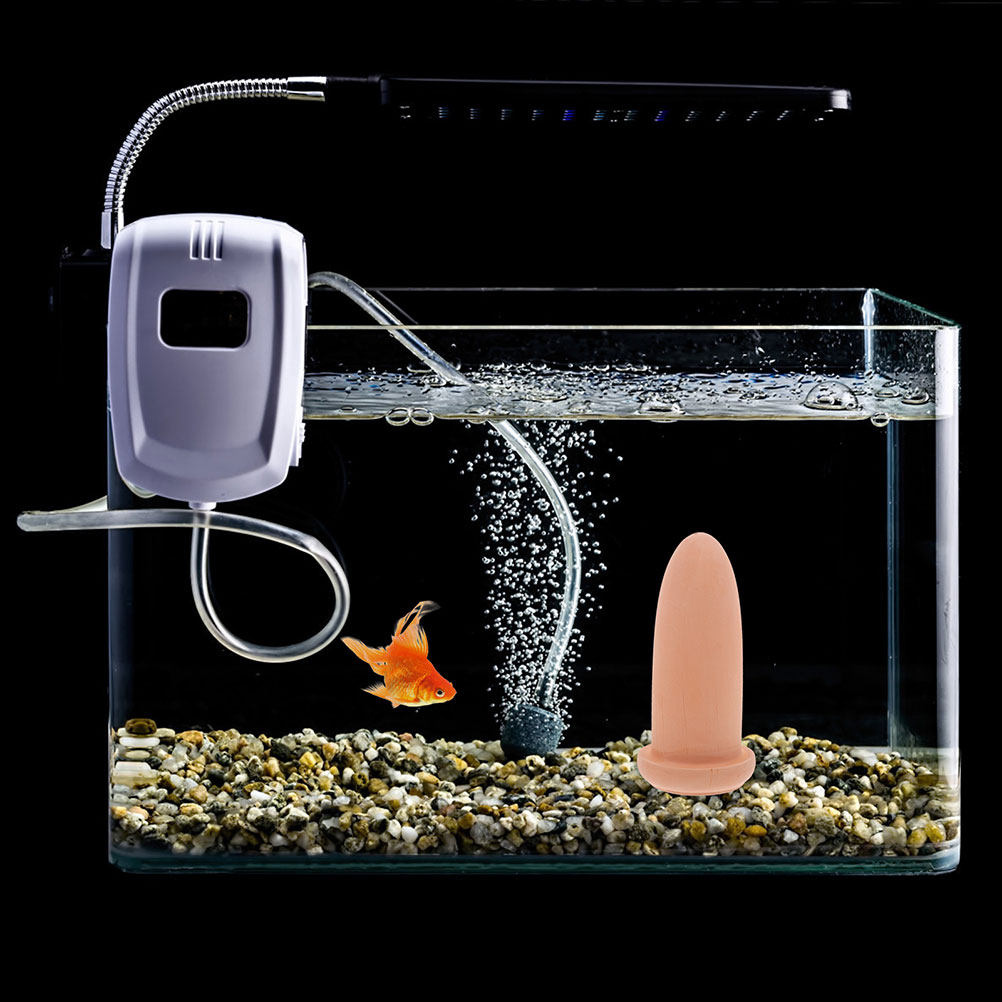 Товары для разведения рыб: выс – обзор и цена Aquarium Decor