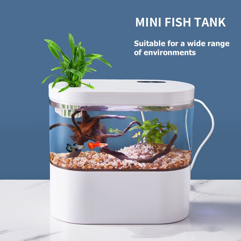 Креативный мини-аквариум для р – обзор и цена Aquarium Fish Betta