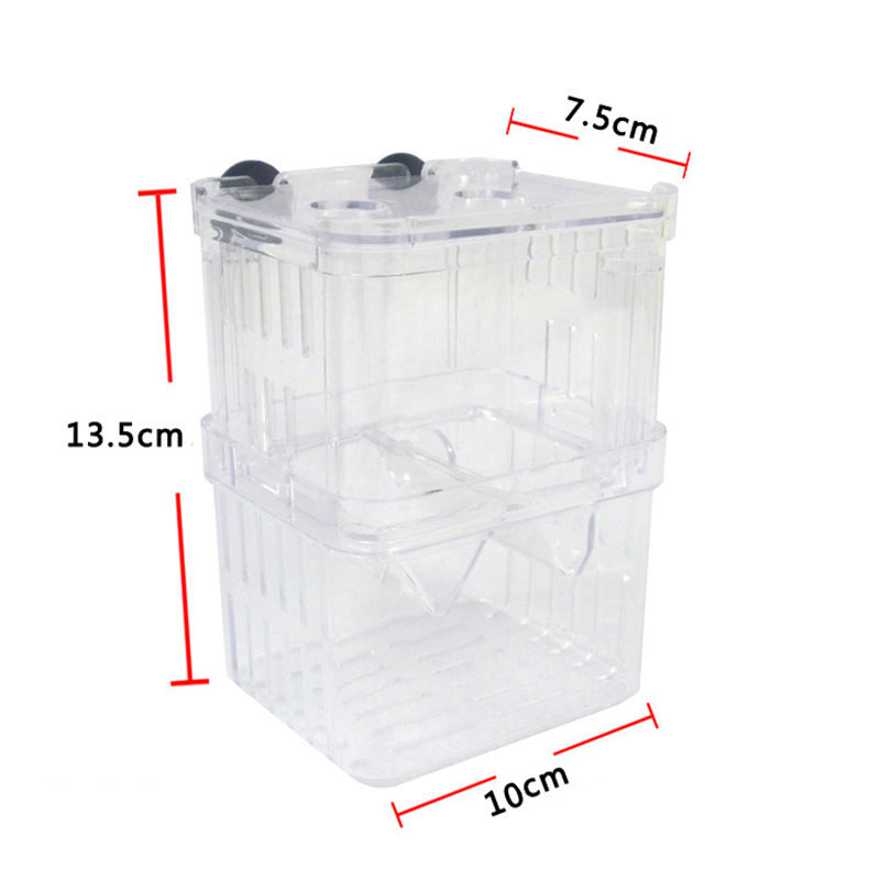 Изолирующая коробка для развед – обзор и цена Aquarium Fish Betta