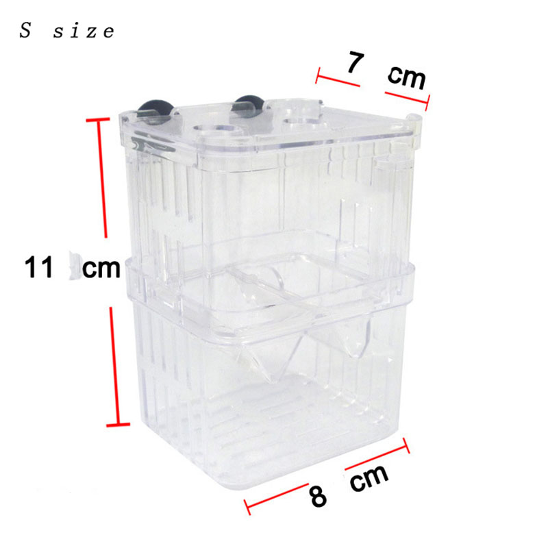 Изолирующая коробка для развед – обзор и цена Aquarium Fish Betta
